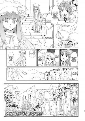 (C80) [Paranoia Cat(Fujiwara Shun'ichi)] Ukyoe-kan Smiling Knife EXPANSION (Touhou Project) [English] - Page 40