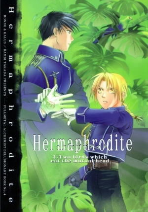 [Ronno & Kalus (Takada Bambi)] Hermaphrodite 3 (Fullmetal Alchemist) [English] [Secret Garden] - Page 2