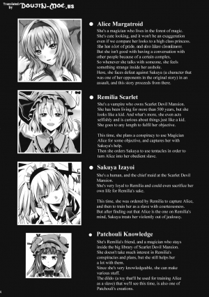 (C81) [YURIRU-RARIKA (Kojima Saya, Lazu)] R Shoku 2A -Toraware Alice- (Touhou Project) [English] - Page 4