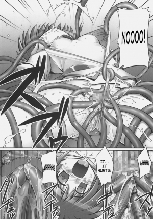 (C72) [RUBBISH Selecting Squad (Namonashi)] RE 05 (Mahou Shoujo Lyrical Nanoha [Magical Girl Lyrical Nanoha]) [English] [SaHa] - Page 10