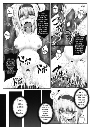 (Reitaisai 10) [e☆ALI-aL! (Ariesu Watanabe)] Nozomiusu | Faint Hope (Touhou Project) [English] - Page 21