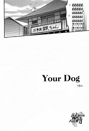 (HaruCC18) [3745HOUSE, tekkaG (MIkami Takeru, Haru)] HOW to SPOIL YOUR DOG (Gintama) [English] [valc21] - Page 9