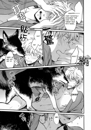 (HaruCC18) [3745HOUSE, tekkaG (MIkami Takeru, Haru)] HOW to SPOIL YOUR DOG (Gintama) [English] [valc21] - Page 26