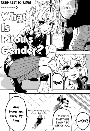 [SGB] 피트의 성별은? | What is Pitou's Gender? (Hunter x Hunter) [English] - Page 2