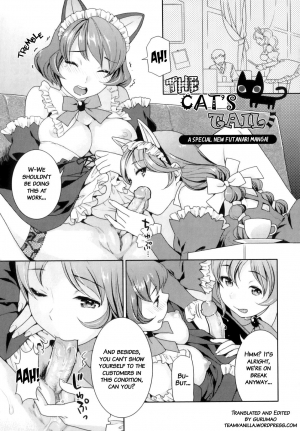 [Nekomata Naomi] Neko no Shippo | The Cat's Tail (Futanari Relations) [English] =Team Vanilla= [Decensored] - Page 2