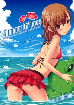 (C80) [Aspergillus (Okara)] Summer Of Love (Toaru Kagaku no Railgun) [English] {doujin-moe.us} - Page 2