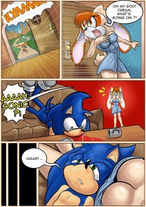 Milf Salvage (Sonic the Hedgehog) - Page 11