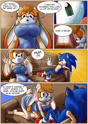 Milf Salvage (Sonic the Hedgehog) - Page 12