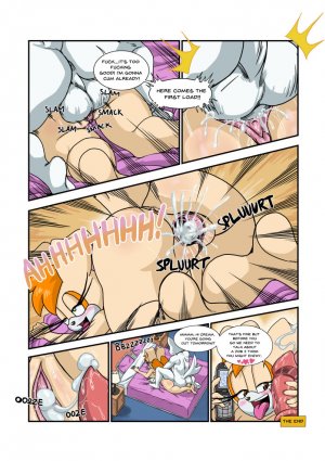 OmegaZuel- Night Job [Sonic The Hedgehog] - Page 5