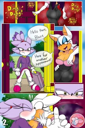 Rouge and Blaze in: House Call - Page 2