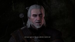 Witcher stories - Page 12