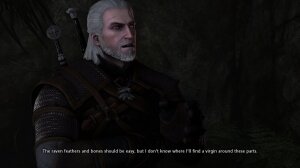 Witcher stories - Page 14