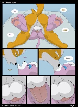 Night With A Feline - Page 11