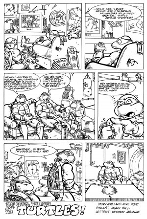 Teenage Mutant Ninja Turtles - Page 2