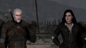 Witcher stories - Page 68