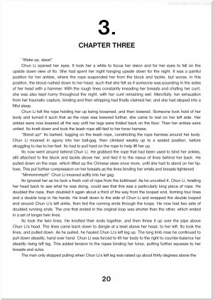 Breaking Chun-Li - Page 21