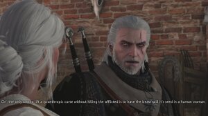 Witcher stories - Page 86