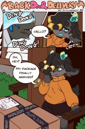Back Door Delivery - Page 1