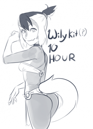 Wilykit 10 hr