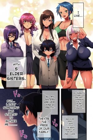 Ane Bitch Harem! - Page 2