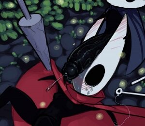 Hollow Knight