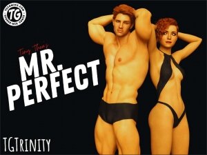 Tgtrinity- Mr perfect