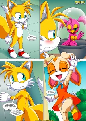 Palcomix- The Mayhem of the Kinky Virus 3 [Sonic The Hedgehog] - Page 5