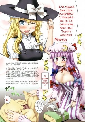 Patchouli and Marisa’s Mushrooms - Page 2
