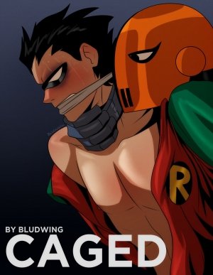 Caged (Teen Titans)- Bludwing - Page 1