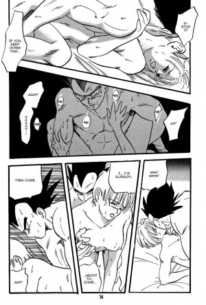 Erotic Flame – Dragon Ball Z ( Kuri) - Page 15