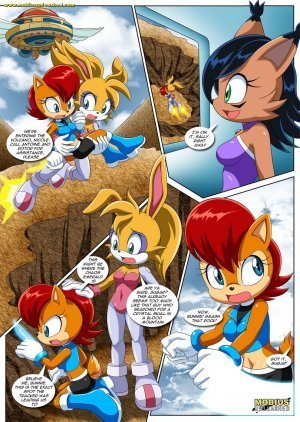 [Palcomix] Sonic Project XXX 4 – Sonic The Hedgehog - Page 17