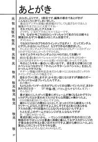 [Thirty Saver Street 2D Shooting (Maki Hideto, Sawara Kazumitsu)] Second Hobaku Project 3 (Neon Genesis Evangelion) - Page 39