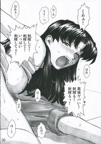 (C69) [Tengu no Tsuzura (Kuro Tengu)] MERRY BOX (Neon Genesis Evangelion) - Page 29