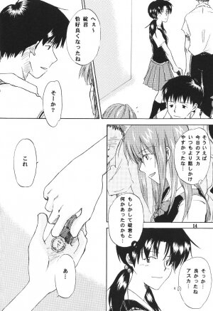 [Mikan-bako o koyonaku aisuru kai (Shisen Mirai)] W R #3 (Neon Genesis Evangelion) - Page 14