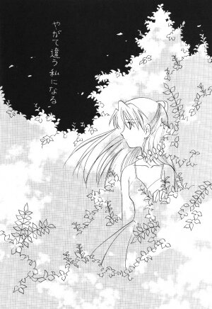 (C54) [UGO (Nibasha Yureru)] SAL (Neon Genesis Evangelion) - Page 13