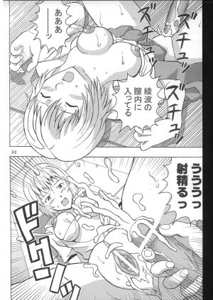 (C70) [St. Rio (Kitty)] HI Enagy 08 (Neon Genesis Evangelion, Fushigi no Umi no Nadia) - Page 33