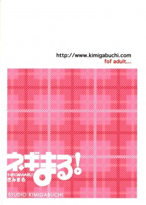(C65) [Studio Kimigabuchi (Kimimaru)] Negimaru! (Mahou Sensei Negima!) [English] - Page 2