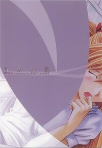 (SC26) [Tsuki no Ryodan (Rei Do)] Houkago no Taiiku Souko (Neon Genesis Evangelion) - Page 29