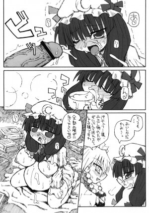 (SC28) [Domestic animals (Murasame Maru)] Seireitsukai no Gogo | Afternoon of The Sorceress (Touhou Project) - Page 10