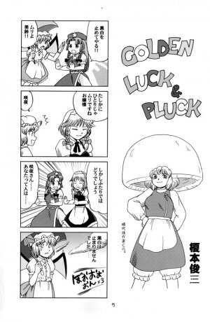 (C68) [Aniki Empire (Fey Tas)] Muteki Danmaku Musume 2 | Invincible Danmaku Girl 2 (Touhou Project) - Page 3