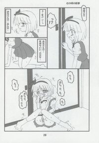 (SC26) [Schwester (Shirau Inasaki)] Rollin 14 (Touhou Project) - Page 27