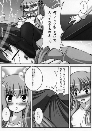 (C71) [K-DRIVE, OVERALL (Narutaki Shin, Yu-ji)] Kizoku no Himitsu (Zero no Tsukaima) - Page 17