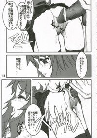 (C70) [FLAT & SLIT RACING 66 (Mu Mu Munou)] Hajimete no Inu (Zero no Tsukaima) - Page 14