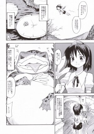 (SC31) [Paranoia Cat (Fujiwara Shunichi)] Touhou Ukiyo Emaki - Tanpen Sairokushuu 2005 (Touhou Project) - Page 5