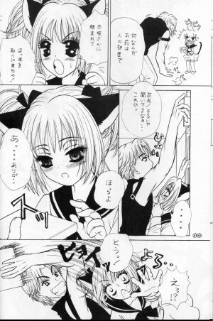 [LUNA PAPA (Kamonohashi Tenko, Emil Watanabe, Moeru Gominohi)] sweety (Tokyo Mew Mew) - Page 22