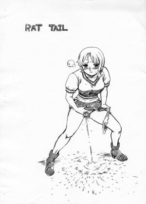 (CR34) [Rat Tail (Irie Yamazaki)] ONEPIECE FILE (One Piece) - Page 10