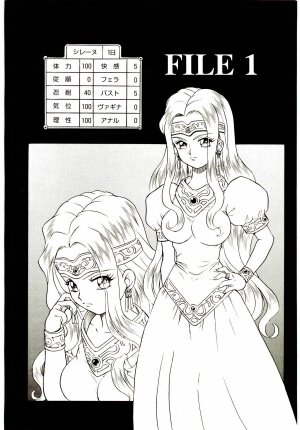 [IRIE YAMAZAKI] Princess File - Page 13
