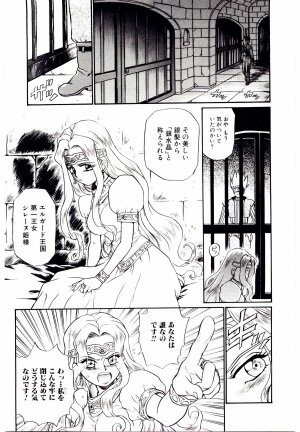 [IRIE YAMAZAKI] Princess File - Page 14