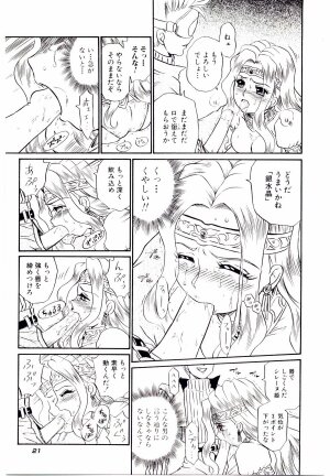 [IRIE YAMAZAKI] Princess File - Page 28