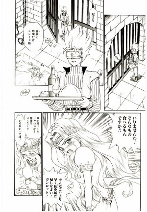 [IRIE YAMAZAKI] Princess File - Page 35